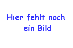 Alle Rafter aus Charlotte